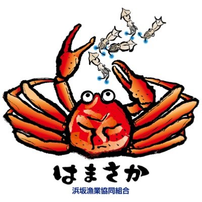 浜坂漁協は、兵庫県北西端の美方郡新温泉町の沿岸部に位置します。松葉がに（浜坂がに）、ほたるいか（浜坂ほたるいか）、地えび（浜坂地えび）など日本海の貴重な資源を数多く水揚げしています。日本海の荒波で育った活きのいい浜坂魚介ブランドを、企業や一般家庭などに、販売お届けいたします。