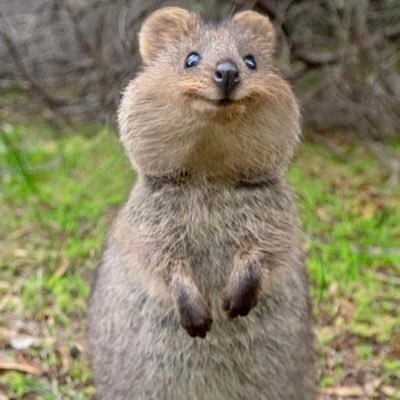 chi15989123047's profile picture. 