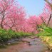 古河公方公園(古河総合公園) (@kubou_park) Twitter profile photo 古河公方公園(古河総合公園) (@kubou_park) Twitter profile photo