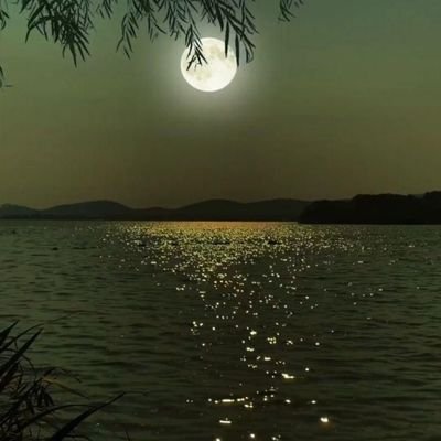 masudibnmasud3's profile picture. সৃষ্টি কর্তা, আল্লাহ : নাম - মুসলিম: ধর্ম -ইসলাম: শিক্ষক - হজরত মোহাম্মদ (সাঃ): বই-আলকোরান: শান্তির এস্থান -মসজিদ : বর্তমান ঠিকানা - দুনিয়া : স্থায়ী - পরকালের