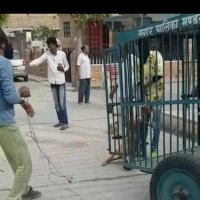 peopleforstreetdogs (@pfsd_aburoad) 's Twitter Profile Photo peopleforstreetdogs (@pfsd_aburoad) 's Twitter Profile Photo