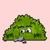 LeafyBush7 (@leafybush7) Twitter profile photo LeafyBush7 (@leafybush7) Twitter profile photo
