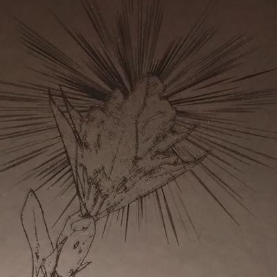 ただのまよらーさんのプロフィール画像