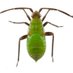 Agrológica (@agrologica) Twitter profile photo