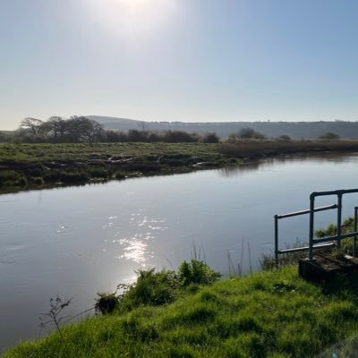 Environment Agency Catchment Officer on the River Arun.

This is a private account & views expressed are my own.