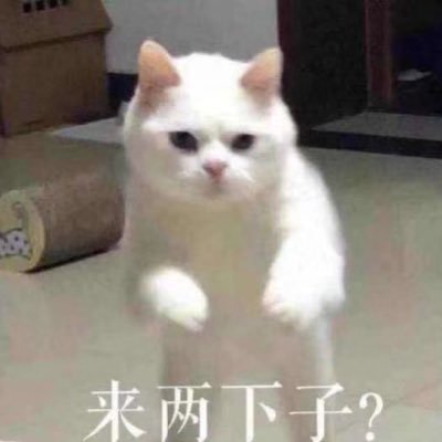 VvJSaiYa's profile picture.