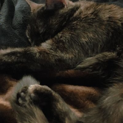 RogamiYuta's profile picture. 