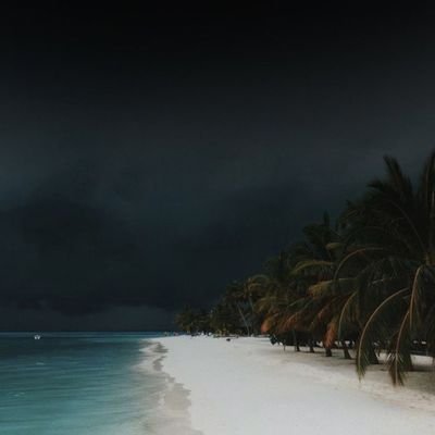 AshrafShukurov's profile picture. 