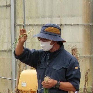shimonaka_onion's profile picture. 神奈川県小田原市下中（しもなか）地区特産の #しもなか玉ねぎ 。甘くみずみずしいのが特徴です。
皆様に喜んでいただける様、さらに甘くおいしい玉ねぎを目標に日々努力しています。