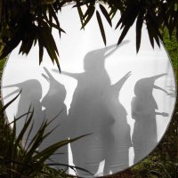 Penguin Cafe (@thepenguincafe) 's Twitter Profile