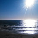 Jill Miles - @JillMiles432853 - Twitter