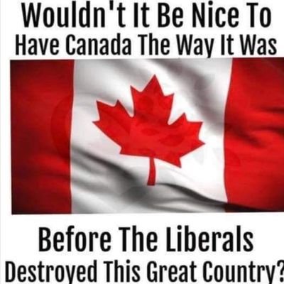 I FOLLOW BACK! 🍎 
❤️ Politics, News &❤️ Funnies! 
Scared by DECEPTIVE M-S LIBERAL CONTROLLED CBC & CTV.
Sadden by the number of LIBERAL Fools destroying 🇨🇦