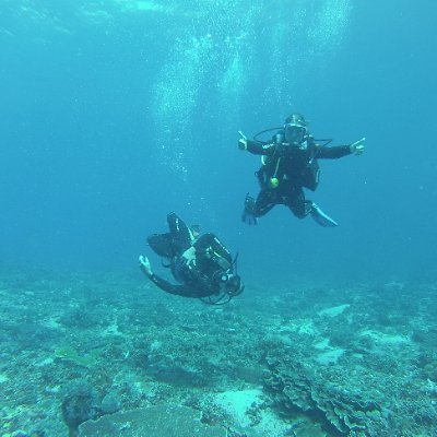 globalgourmand's profile picture. Happy to be leaving this ship. Used to be: Food. Occasionally other stuff.