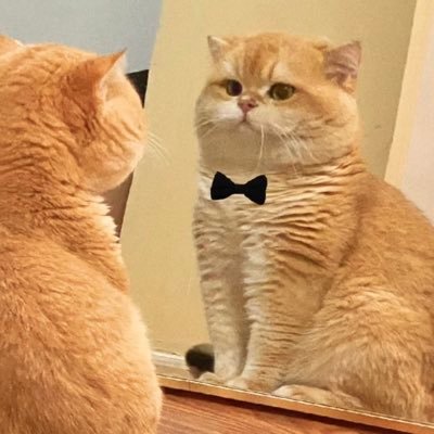 sougyokusenn's profile picture. Chiba univ.22S生/中国からの留学生