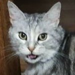 はつかさんのプロフィール画像