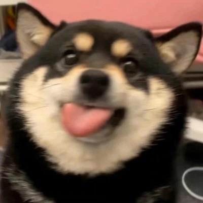 dadada02560867's profile picture. 我是直的我是直的我是直的不要再骚扰我了！！！聊天私信q