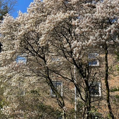 Mrberatq's profile picture. 