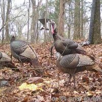JustinSmith (@justins17656411) 's Twitter Profile