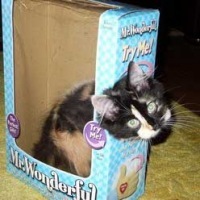 abyr_walg's profile picture. GaAsP are red, InGaN are blue.