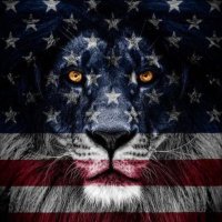 Salty Blonde (@saltyblonde1776) 's Twitter Profile