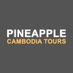Pineapple Cambodia Tours (@ToursPineapple) Twitter profile photo