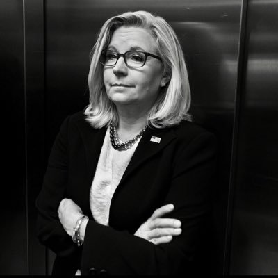 unofficial_liz's profile picture. Liz Cheney News🇺🇸 “I will do everything I can to ensure that TFG never again gets anywhere near the Oval Office”#thegreattask #oathandhonor