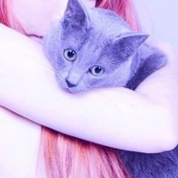 แดฐแดตแแถแดผ๐ฏ (@disc02u) 's Twitter Profile Photo แดฐแดตแแถแดผ๐ฏ (@disc02u) 's Twitter Profile Photo