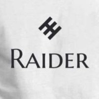 Domain Raider(@domain_raider) 's Twitter Profile Photo