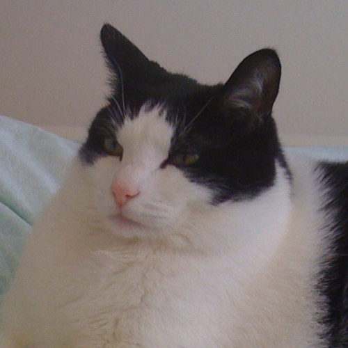 eurosage's profile picture. 