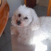 Ana (@anaalbi1234) 's Twitter Profile