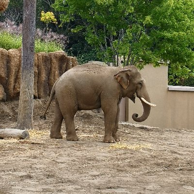 6KBYyCSrmjTB3SG's profile picture. 逃走者