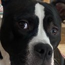 Shane Wick - @ShaneWick872359 - Twitter