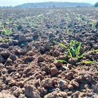 Riad Mezaour (@mezaourriad) 's Twitter Profile Photo