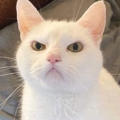 bananaakick's profile picture. 