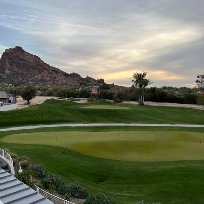 PColarusso's profile picture. 