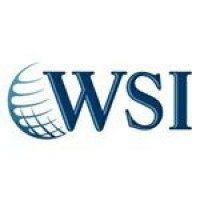 WSI_Axon(@WSI_Axon) 's Twitter Profile Photo