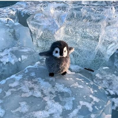 NVenkatSubbaRao's profile picture. a curious homo sapien, not GPT