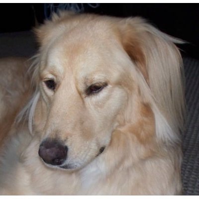 ScarrieVp's profile picture. / / / / / / /  Americans 1st. \ \ \ \ \ \ \ 
“Normal is an illusion...What is normal 
  for the spider is chaos for the fly.”