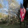 TruthRockin's profile picture. Philippians 1:21 “For to me, to live is Christ and to die is gain.” Christian ✝️ Patriot 🇺🇸  Save the Children 🙏🏻 Pray 🩸Pureblood ❤️Married!🚫No DM’s