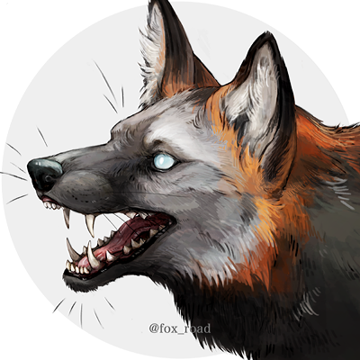 fox_road Profile Picture