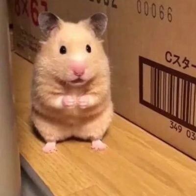 wonlove94's profile picture. 