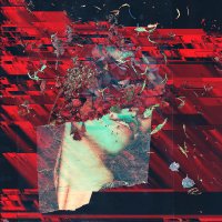 tedks (@_tedks) 's Twitter Profile