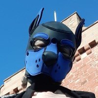 Spiced Skelly 🔞 (@skellyboyad) 's Twitter Profile