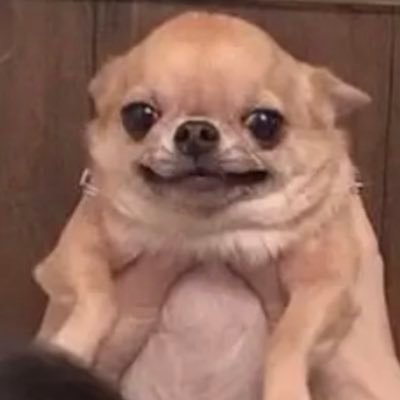 spamaccountr's profile picture. 