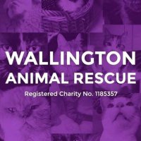 Wallington Animal Rescue (WAR)(@WallingtonAnim1) 's Twitter Profileg