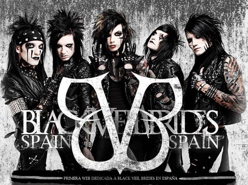 Veil Brides Share Your Thoughts 25