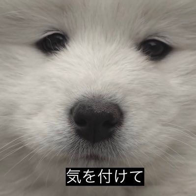 しんどうさんのプロフィール画像