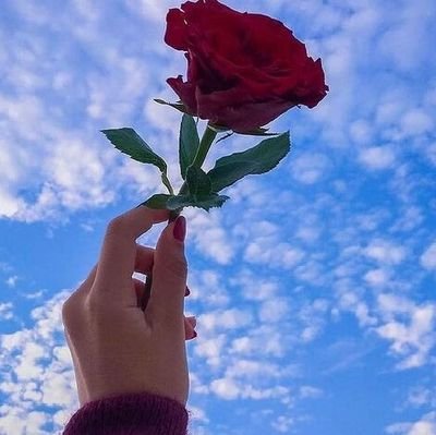 ZahraHatafi's profile picture. فقط ایران