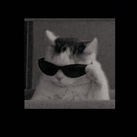 Ahmed (@sir_ahmed9) 's Twitter Profile