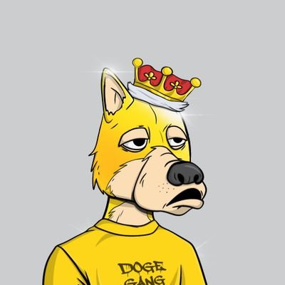 herkules_51's profile picture. 